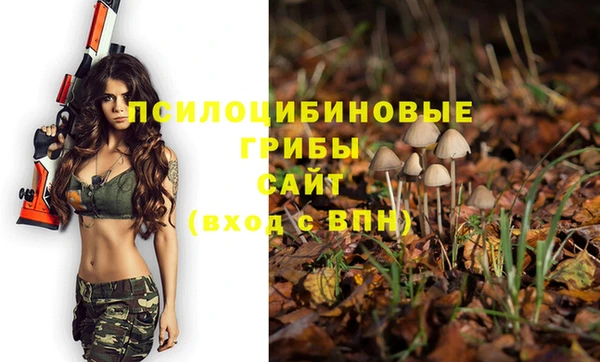 стафф Балабаново